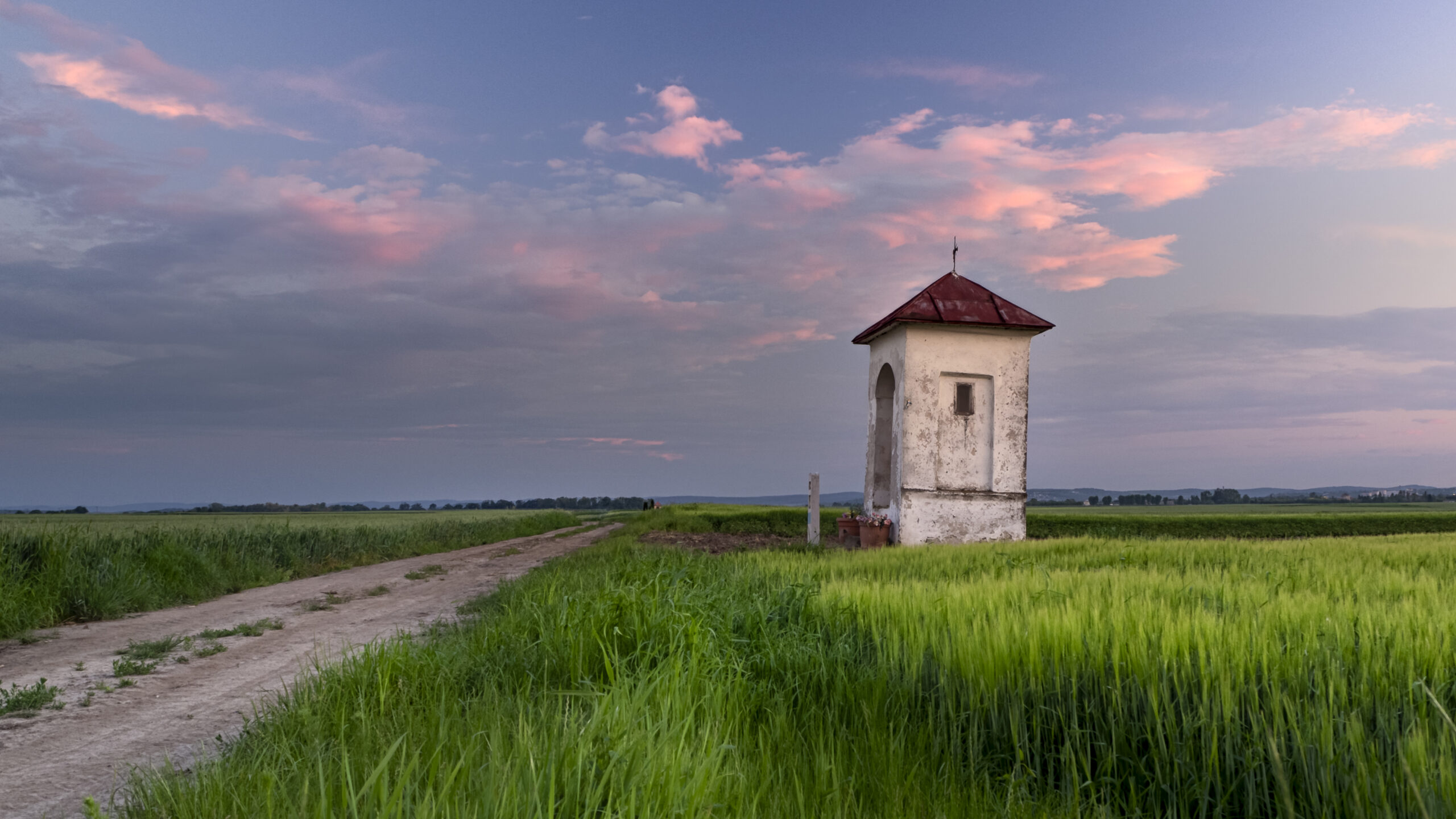 Wyszatyce — 20190605 — Kapliczka